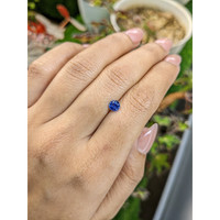 0.63 Ct. Blue Sapphire from Ceylon (Sri Lanka) Life Style