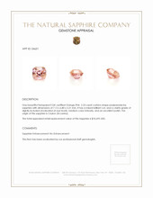 Jewelry Appraisal