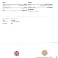 Jewelry Scan Report