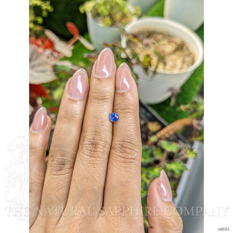 0.51 Ct. Blue Sapphire from Ceylon (Sri Lanka)