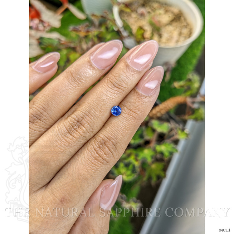 0.51 Ct. Blue Sapphire from Ceylon (Sri Lanka)