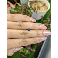 0.44 Ct. Blue Sapphire from Ceylon (Sri Lanka) Life Style