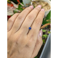 0.44 Ct. Blue Sapphire from Ceylon (Sri Lanka) Life Style