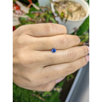 0.48 Ct. Blue Sapphire from Ceylon (Sri Lanka) Life Style