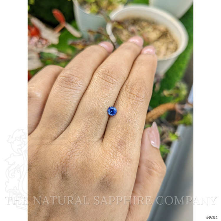 0.48 Ct. Blue Sapphire from Ceylon (Sri Lanka)
