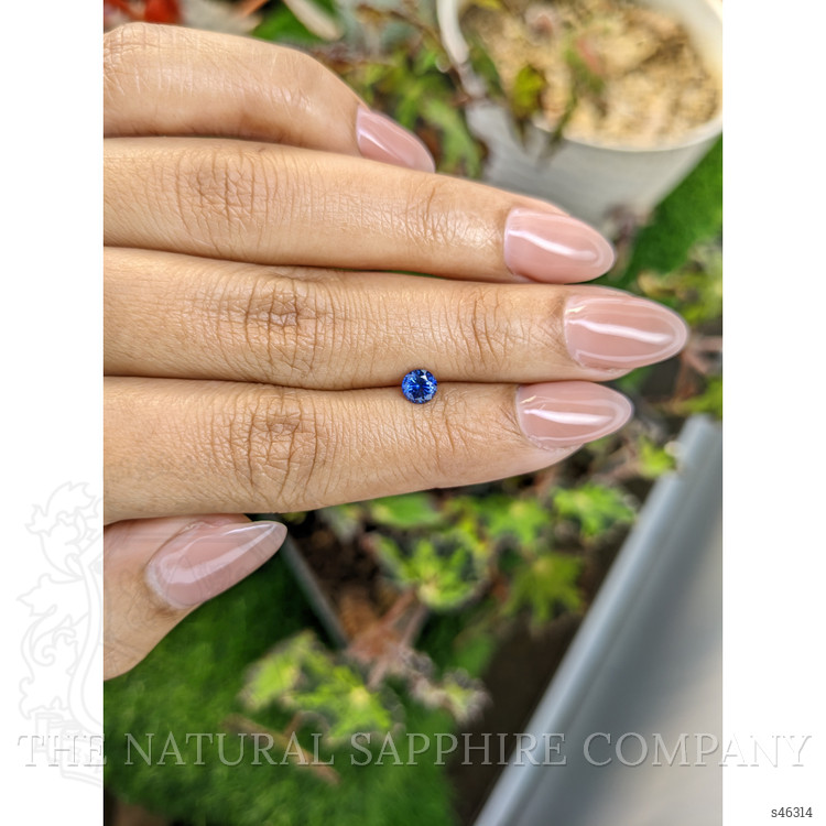 0.48 Ct. Blue Sapphire from Ceylon (Sri Lanka)
