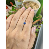 0.53 Ct. Blue Sapphire from Ceylon (Sri Lanka) Life Style
