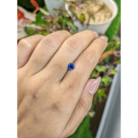 0.64 Ct. Blue Sapphire from Ceylon (Sri Lanka) Life Style