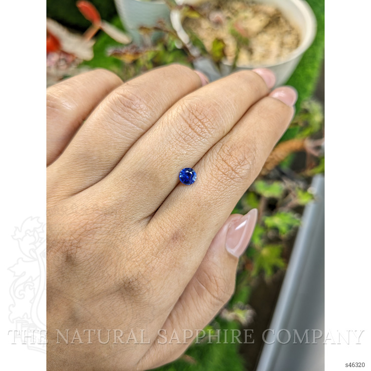 0.54 Ct. Blue Sapphire from Ceylon (Sri Lanka)