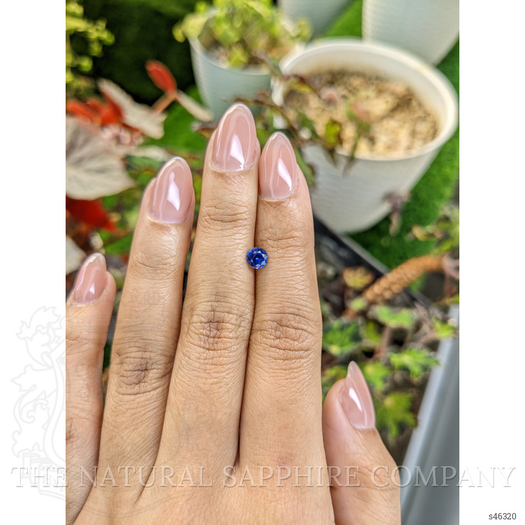 0.54 Ct. Blue Sapphire from Ceylon (Sri Lanka)