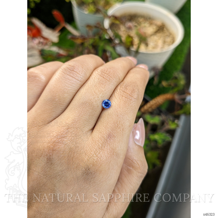 0.59 Ct. Blue Sapphire from Ceylon (Sri Lanka)