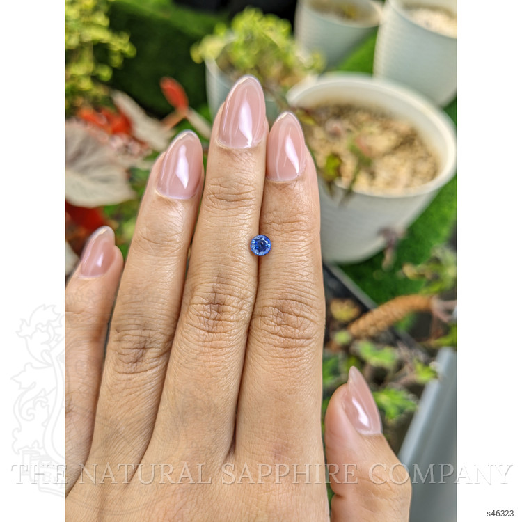 0.59 Ct. Blue Sapphire from Ceylon (Sri Lanka)
