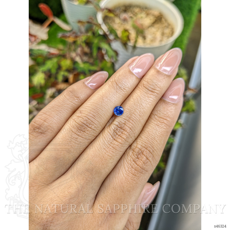0.51 Ct. Blue Sapphire from Ceylon (Sri Lanka)