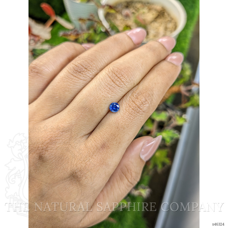 0.51 Ct. Blue Sapphire from Ceylon (Sri Lanka)