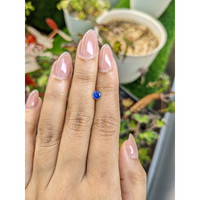 0.51 Ct. Blue Sapphire from Ceylon (Sri Lanka) Life Style