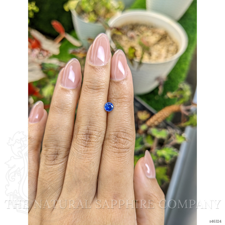 0.51 Ct. Blue Sapphire from Ceylon (Sri Lanka)