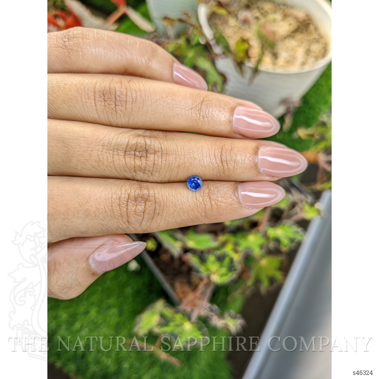 0.51 Ct. Blue Sapphire from Ceylon (Sri Lanka)