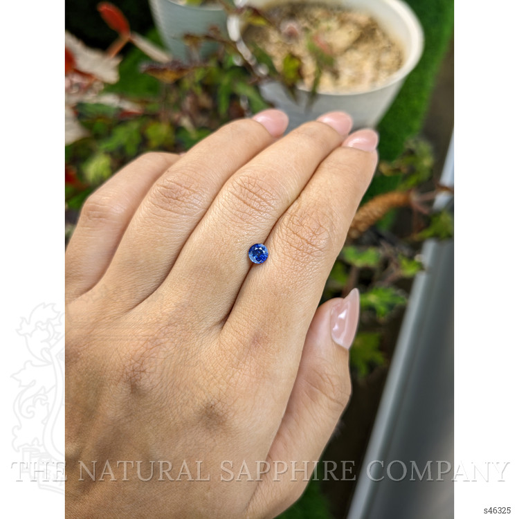 0.52 Ct. Blue Sapphire from Ceylon (Sri Lanka)