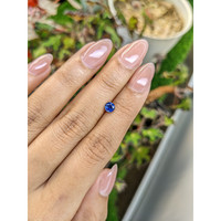 0.52 Ct. Blue Sapphire from Ceylon (Sri Lanka) Life Style