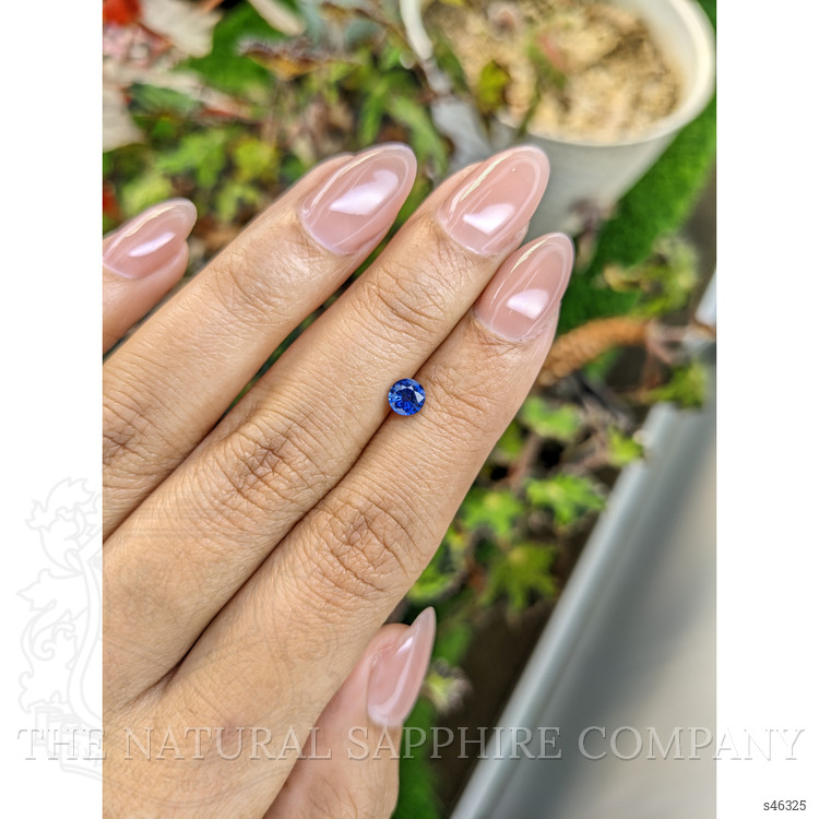 0.52 Ct. Blue Sapphire from Ceylon (Sri Lanka)