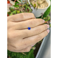 0.58 Ct. Blue Sapphire from Ceylon (Sri Lanka) Life Style