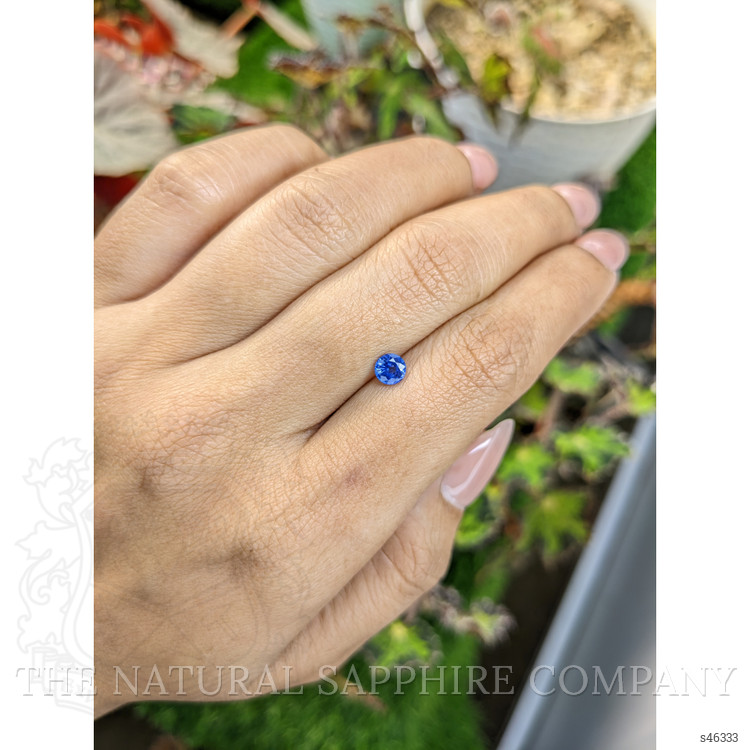 0.50 Ct. Blue Sapphire from Ceylon (Sri Lanka)