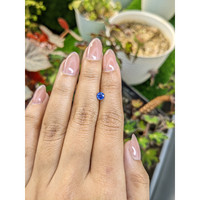 0.50 Ct. Blue Sapphire from Ceylon (Sri Lanka) Life Style