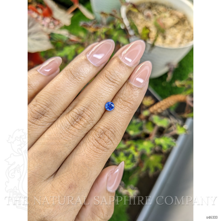 0.50 Ct. Blue Sapphire from Ceylon (Sri Lanka)