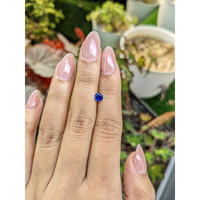 0.41 Ct. Blue Sapphire from Ceylon (Sri Lanka) Life Style