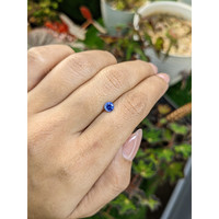 0.53 Ct. Blue Sapphire from Ceylon (Sri Lanka) Life Style