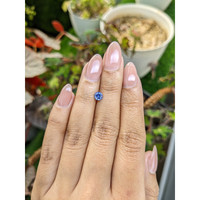 0.58 Ct. Blue Sapphire from Ceylon (Sri Lanka) Life Style