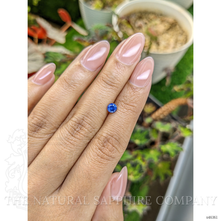 0.47 Ct. Blue Sapphire from Ceylon (Sri Lanka)