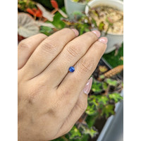 0.60 Ct. Blue Sapphire from Ceylon (Sri Lanka) Life Style