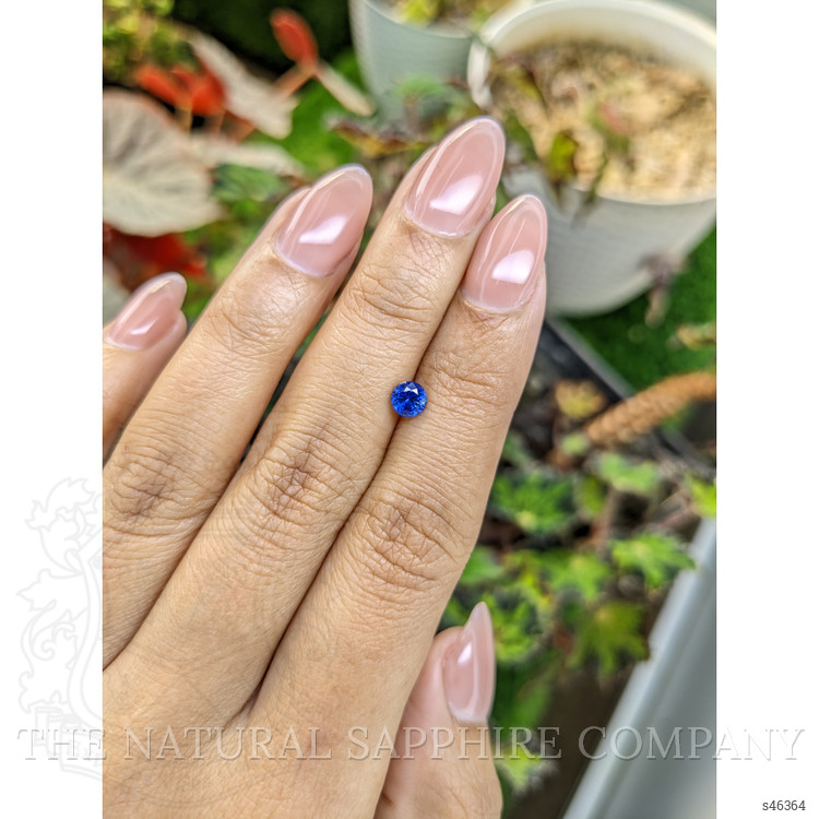0.53 Ct. Blue Sapphire from Ceylon (Sri Lanka)