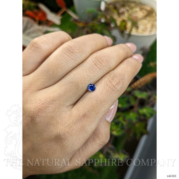 0.50 Ct. Blue Sapphire from Ceylon (Sri Lanka)