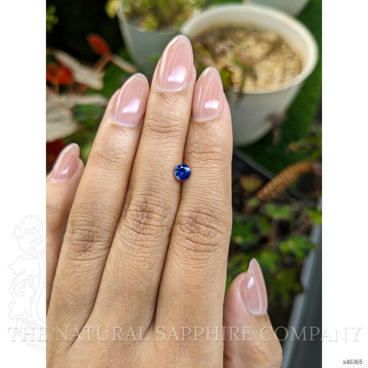 0.50 Ct. Blue Sapphire from Ceylon (Sri Lanka)