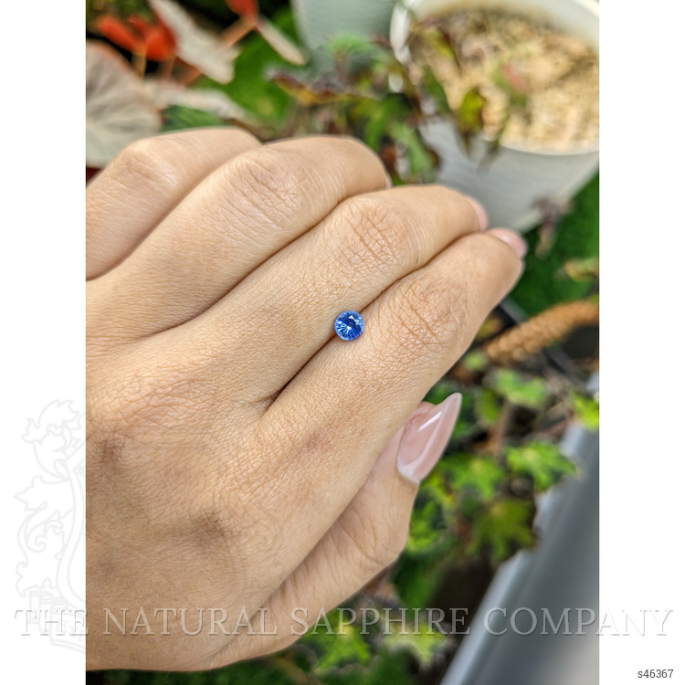 0.51 Ct. Blue Sapphire from Ceylon (Sri Lanka)