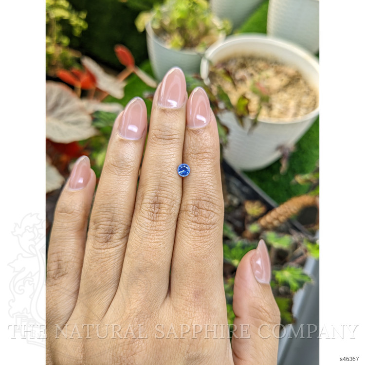 0.51 Ct. Blue Sapphire from Ceylon (Sri Lanka)