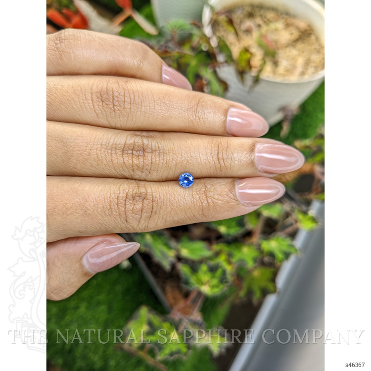 0.51 Ct. Blue Sapphire from Ceylon (Sri Lanka)