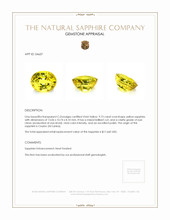 9.73 Ct. Yellow Sapphire from Ceylon (Sri Lanka) Appraisal