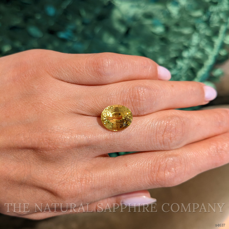 9.73 Ct. Yellow Sapphire from Ceylon (Sri Lanka)