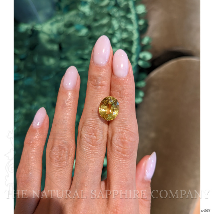 9.73 Ct. Yellow Sapphire from Ceylon (Sri Lanka)