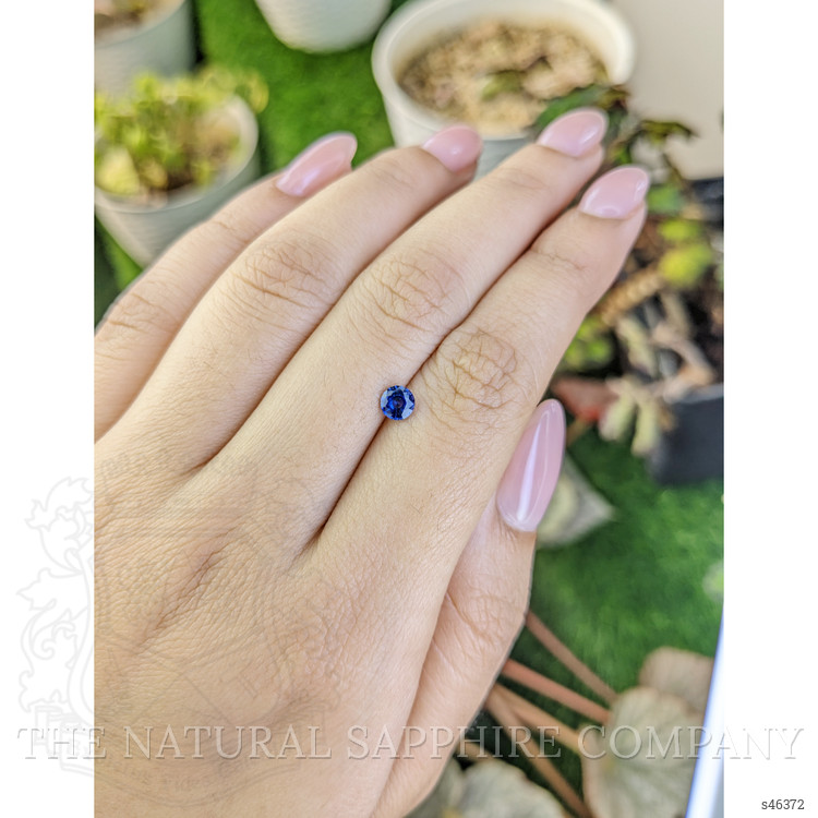 0.43 Ct. Blue Sapphire from Ceylon (Sri Lanka)