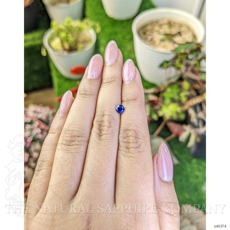 0.51 Ct. Blue Sapphire from Ceylon (Sri Lanka)