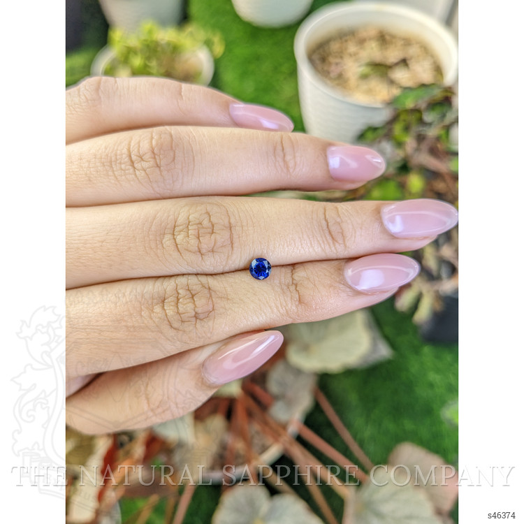 0.51 Ct. Blue Sapphire from Ceylon (Sri Lanka)