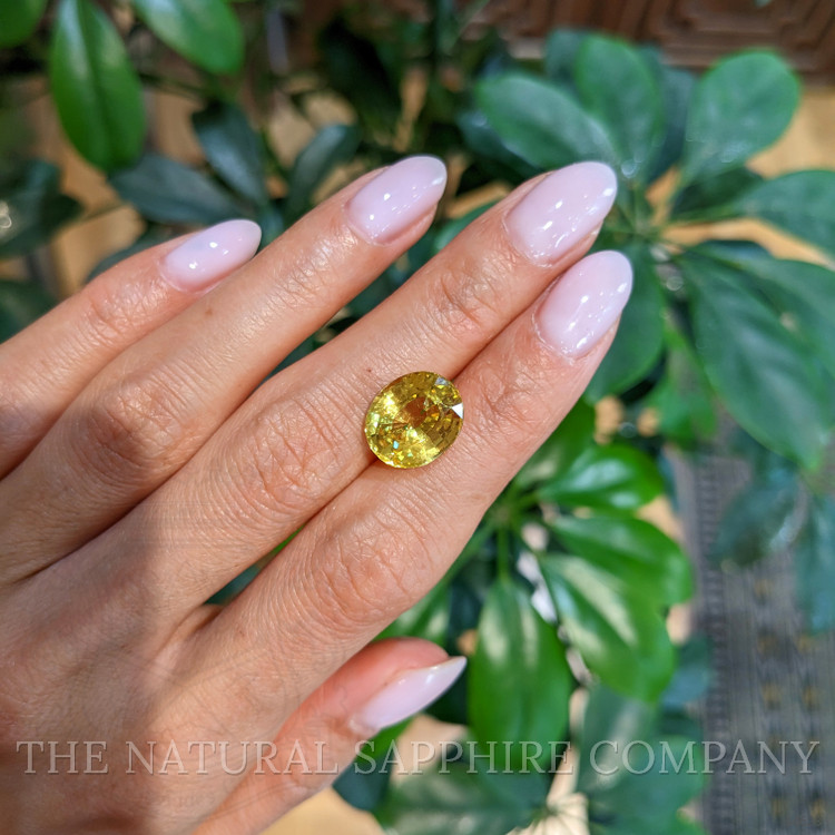 7.92 Ct. Yellow Sapphire from Ceylon (Sri Lanka)