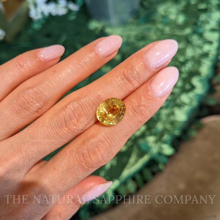 7.92 Ct. Yellow Sapphire from Ceylon (Sri Lanka)