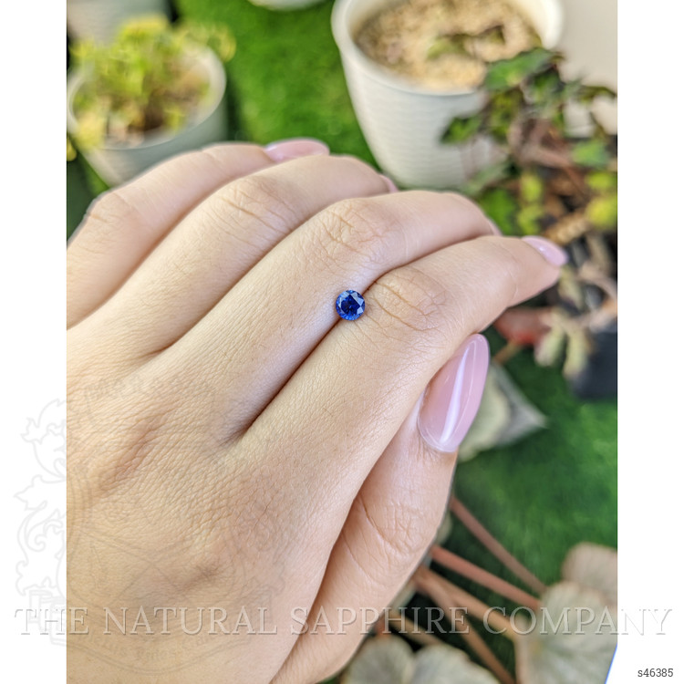 0.51 Ct. Blue Sapphire from Ceylon (Sri Lanka)