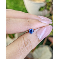 0.50 Ct. Blue Sapphire from Ceylon (Sri Lanka) Life Style