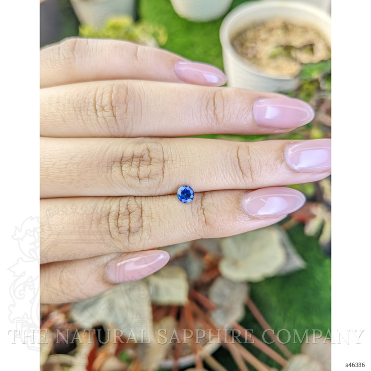 0.50 Ct. Blue Sapphire from Ceylon (Sri Lanka)